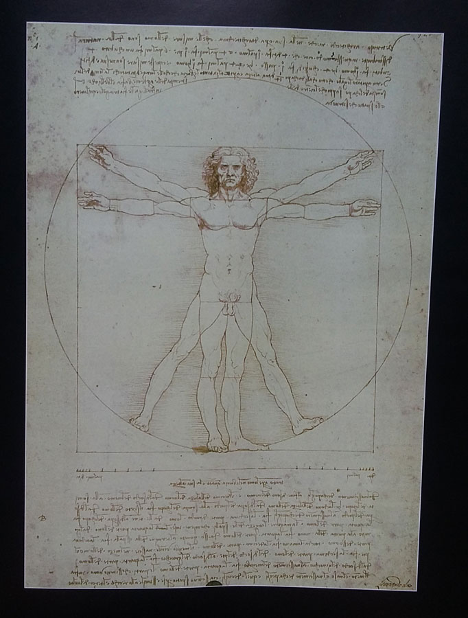 Hombre de Vitruvio. Leonardo Da Vinci. 1490