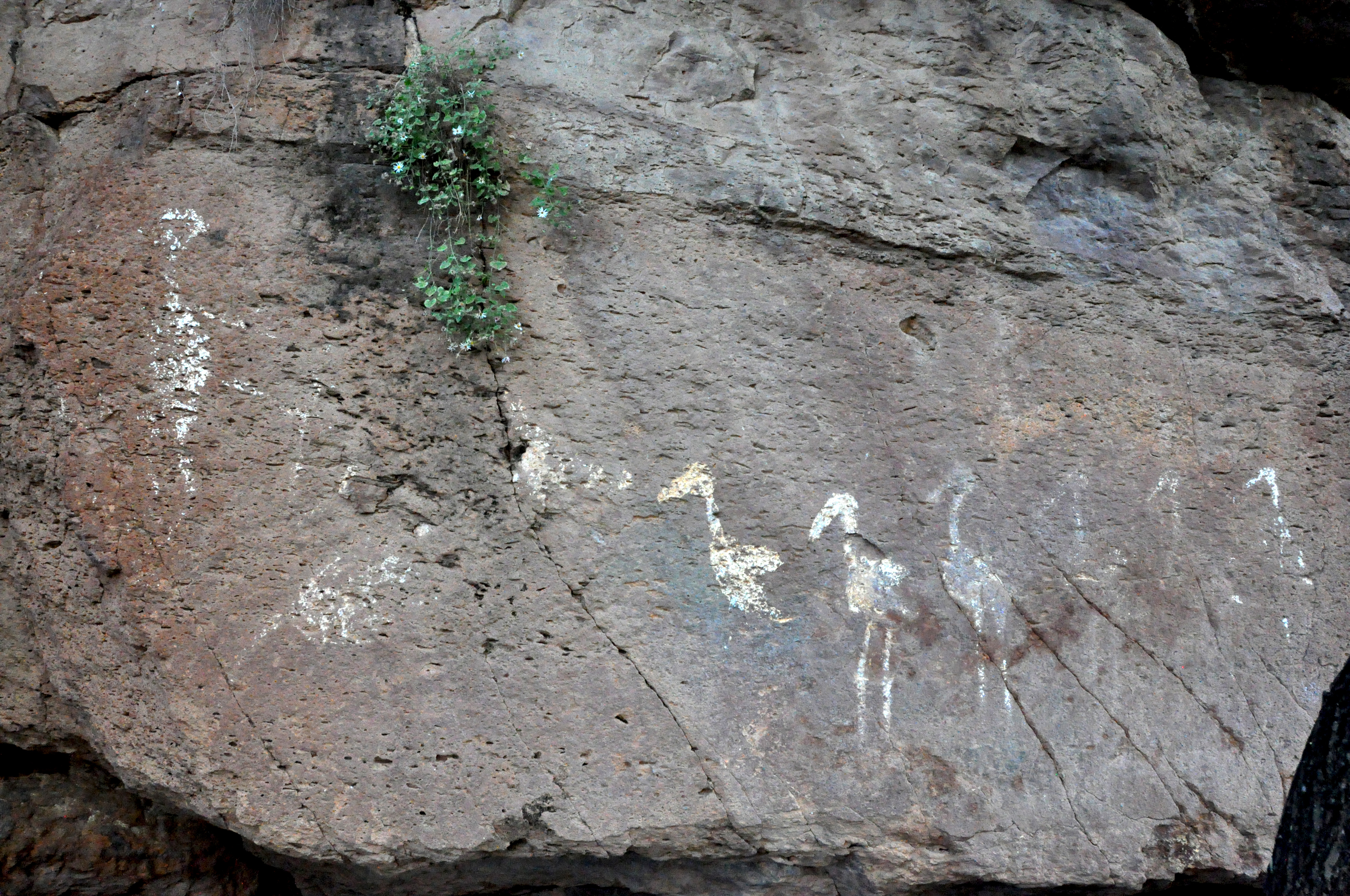 Fig. 3 Garzas flechadas. Sitio: El Boyé, municipio de Huichapan, Hidalgo. Foto: Proyecto La mazorca y el niño Dios. El arte otomí: continuidad histórica y riqueza viva del Mezquital, IIE-UNAM. 