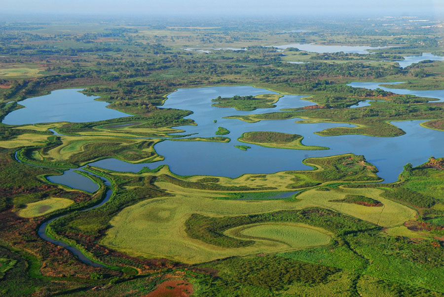 1.	Pantanos de Centla, Tabasco (https://www.playas.com.mx/articulo/mexico/3575/ruta-pantanos,-tabasco)